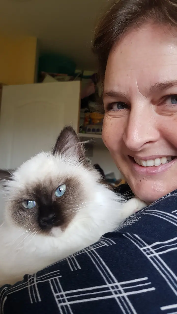 Éleveuse de Birman