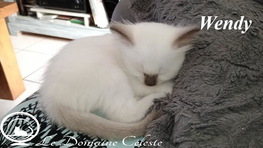 Wendy qui dort Wendy qui dort