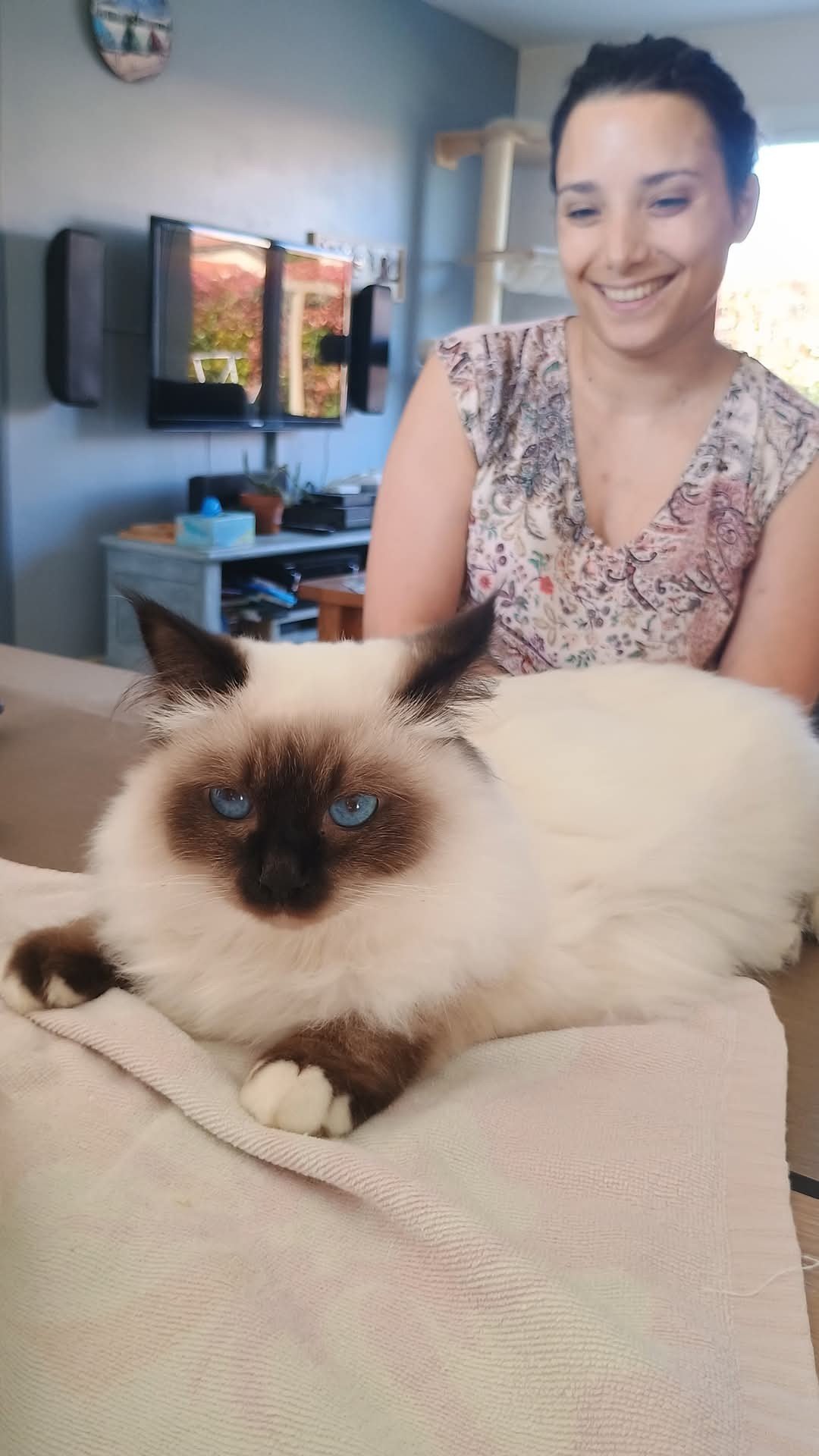 Zeus et Célina Zeus après sa séance de toilettage