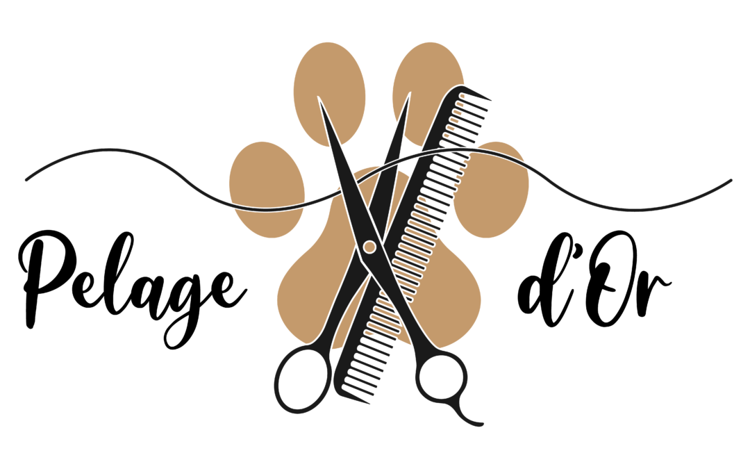 Toiletteuse pour chat